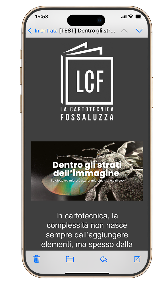 Servizio newsletter a Treviso